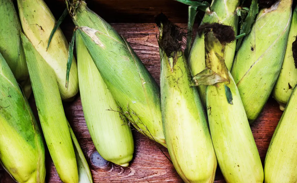 Farm-to-Table Experiences